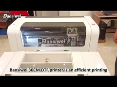 Printer Garmen DTF 30cm 2pc i3200